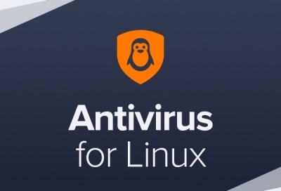 Avast Business Antivirus for Linux, New electronic licence, 1 year, volume 1-4