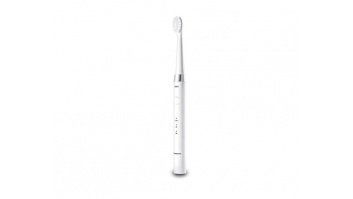 Panasonic | Toothbrush | EW-DM81 | Rechargeable | For adults | Number of brush heads included 2 | Number of teeth brushing modes 2 | White