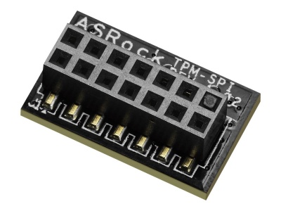 ASRock TPM-SPI | SPI interface