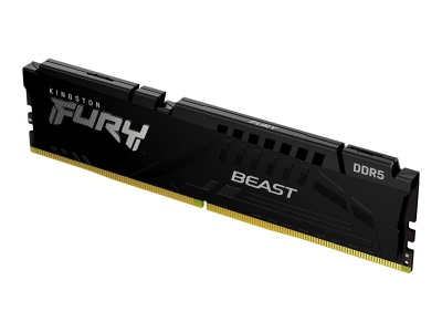 Kingston | 16 GB | DDR5 | 6000 MHz | PC/server | Registered No | ECC No