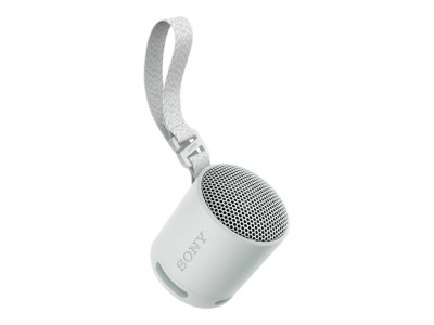 Sony | Speaker | SRS-XB100 | Waterproof | Bluetooth | Gray | Portable | Wireless connection