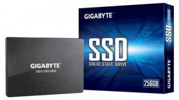 Gigabyte | GP-GSTFS31256GTND | 256 GB | SSD interface SATA | Read speed 520 MB/s | Write speed 500 MB/s