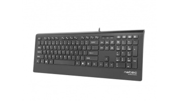 Natec Keyboard, Barracuda, US Layout, Slim | Natec | Keyboard | Barracuda | Standard | Wired | US | Black | 529 g