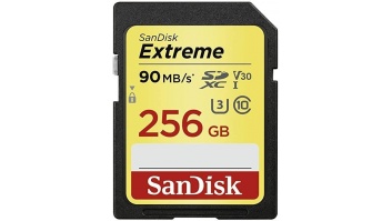 MEMORY SDXC 256GB UHS-1/SDSDXVV-256G-GNCIN SANDISK