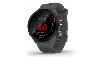 SMARTWATCH FORERUNNER 55/GREY 010-02562-13 GARMIN