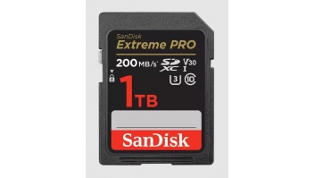 MEMORY SDXC 1TB UHS-I/SDSDXXD-1T00-GN4IN SANDISK