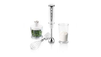 ETA | Hand blender | ETA305790000 RIZZO | Hand Blender | 400 W | Number of speeds 5 | Turbo mode | Chopper | White