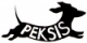 PEKSIS