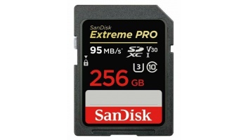 MEMORY SDXC 256GB UHS-1/SDSDXXD-256G-GN4IN SANDISK